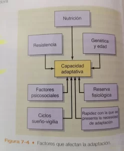 Factores que afectan la adaptación
